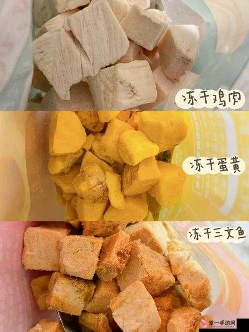 OVO 食肉家庭摄取报告：肉食背后的故事